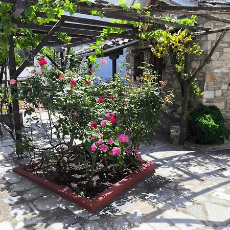 Venus Guesthouse Портария Экстерьер фото