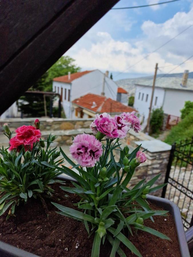 Venus Guesthouse Портария Экстерьер фото