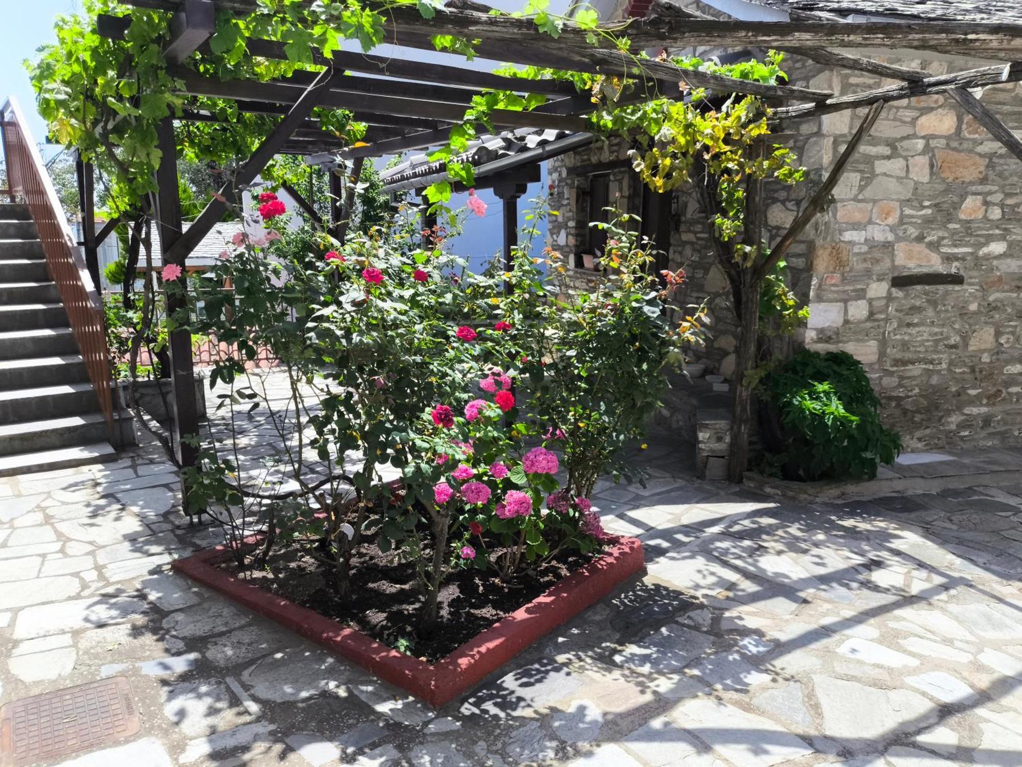 Venus Guesthouse Портария Экстерьер фото